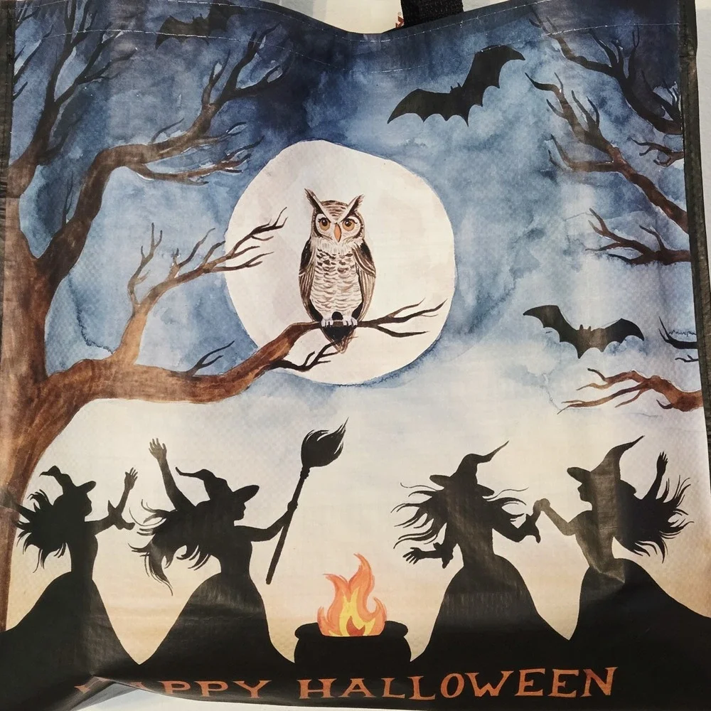 Halloween Witch Witches Cauldron Owl Trees Bats Broom Full Moon Bag TJMaxx New